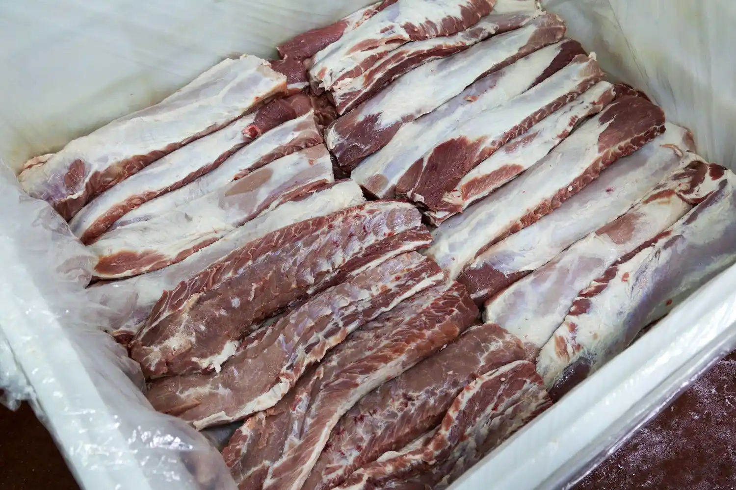 cerdo carne
