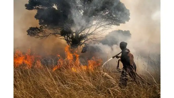 Mar del Plata refuerza la prevención ante el riesgo de incendios forestales