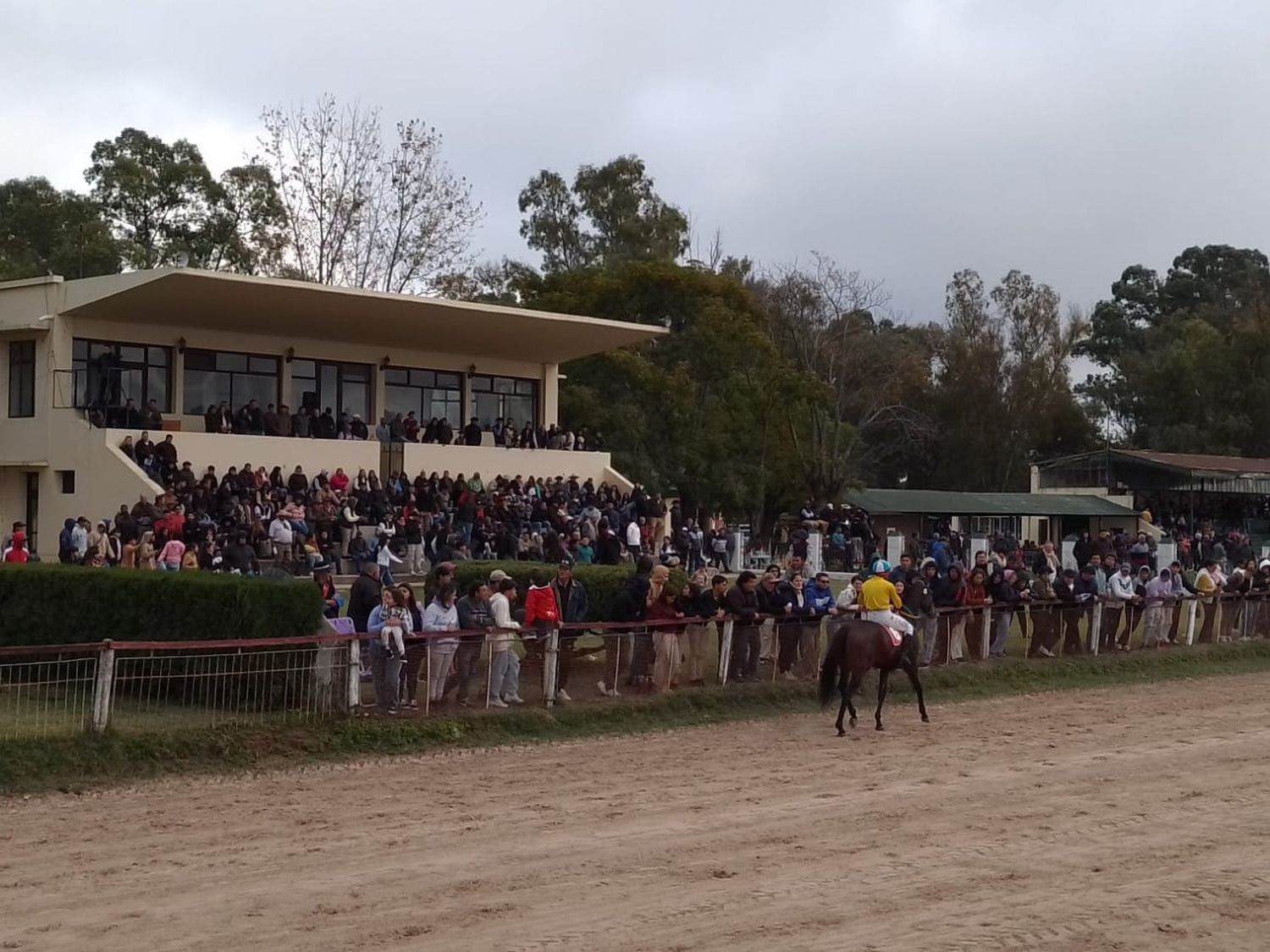 Turf: “El Negro Luis” brilló en el Gran Premio 25 de Mayo