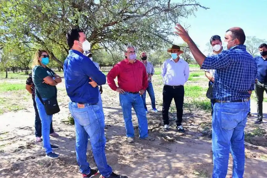 Oeste: destacados avances en producción estratégica de forrajes y reservas de agua