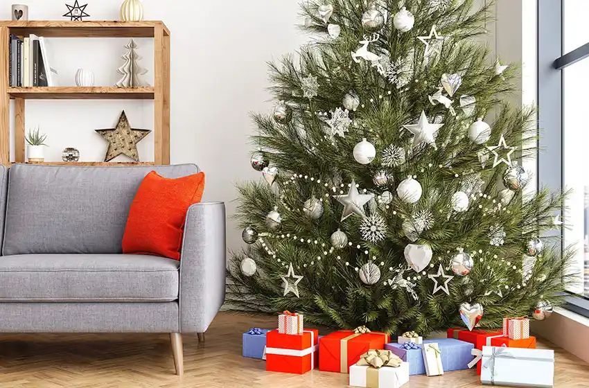 Damián Di Pace: “La canasta navideña interanualmente tuvo un aumento de 130%”