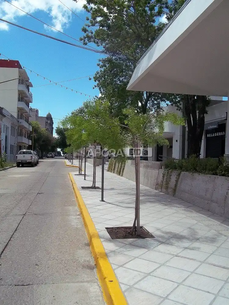Gualeguaychú necesita unos 15 mil árboles más para tener un medio ambiente saludable