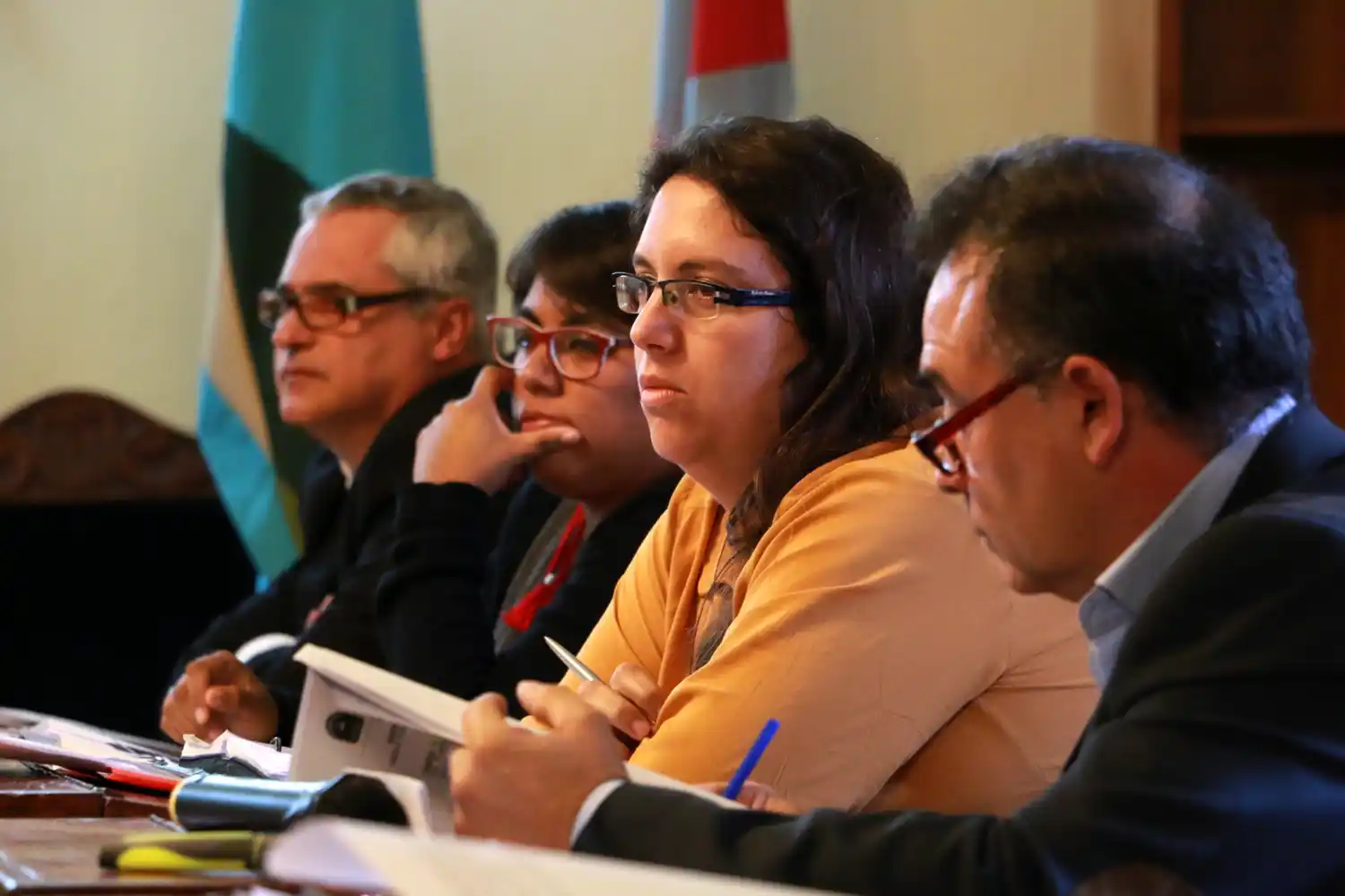 Cuestionamiento opositor por el Consejo de Seguridad, los geriátricos y los carros  