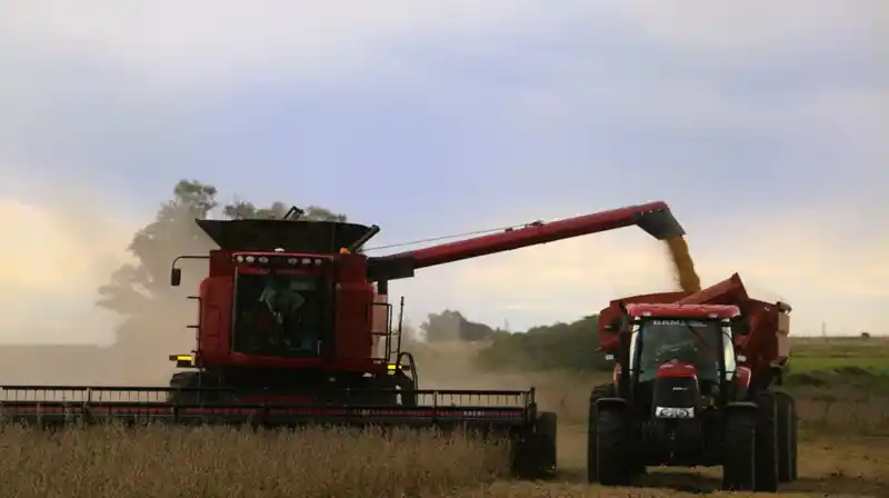 La Federación Agraria de Entre Ríos advierte que volver a las retenciones implicaría la quiebra de muchos productores