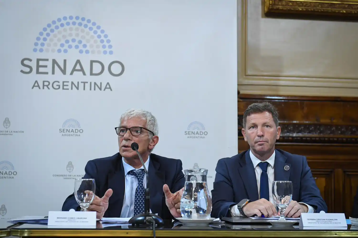 Cúneo Libarona expuso en el Senado sobre las falsas denuncias.