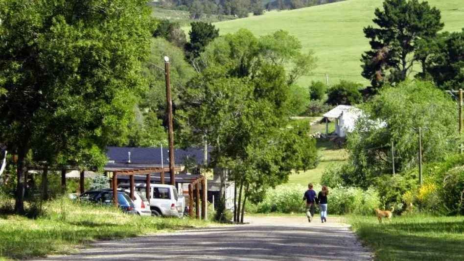 Vecinos de Sierra de los Padres preocupados por la deforestación 
