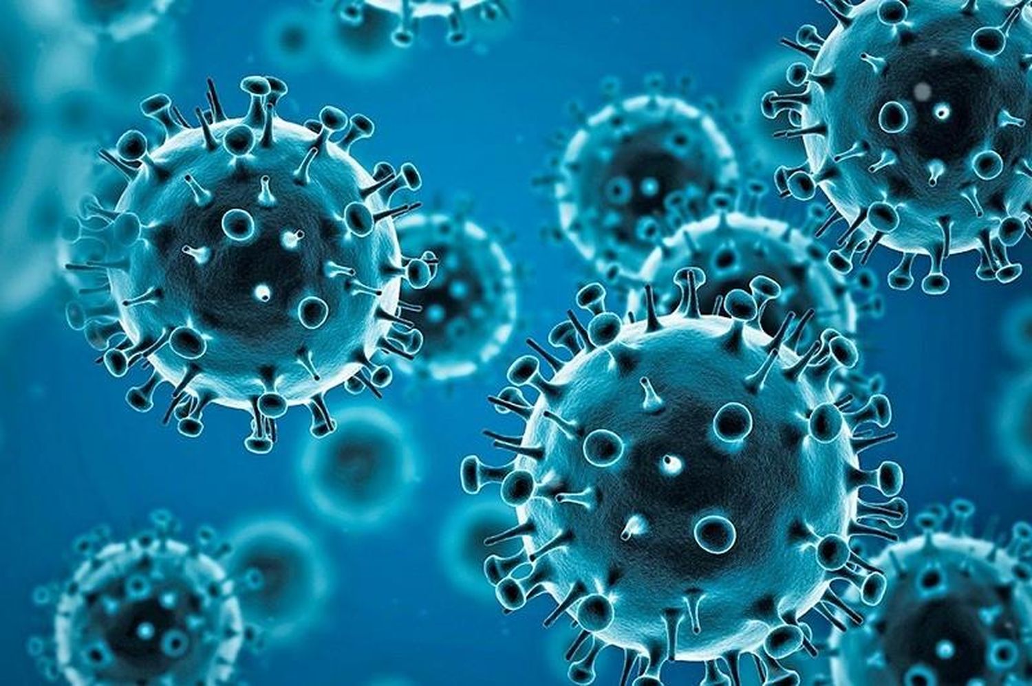 #Coronavirus Parte 28 de noviembre de 2021: 888 casos y 12 muertes informadas en las últimas 24 horas