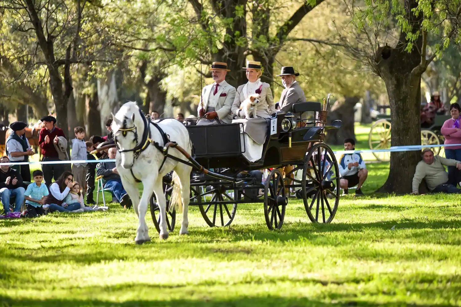 Con gran marco de público celebró el 11° Encuentro del Caballo y el Carruaje
