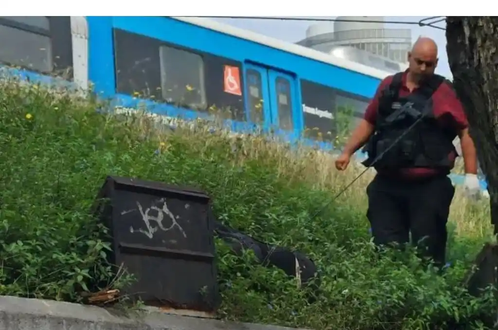 Vías del tren Mitre