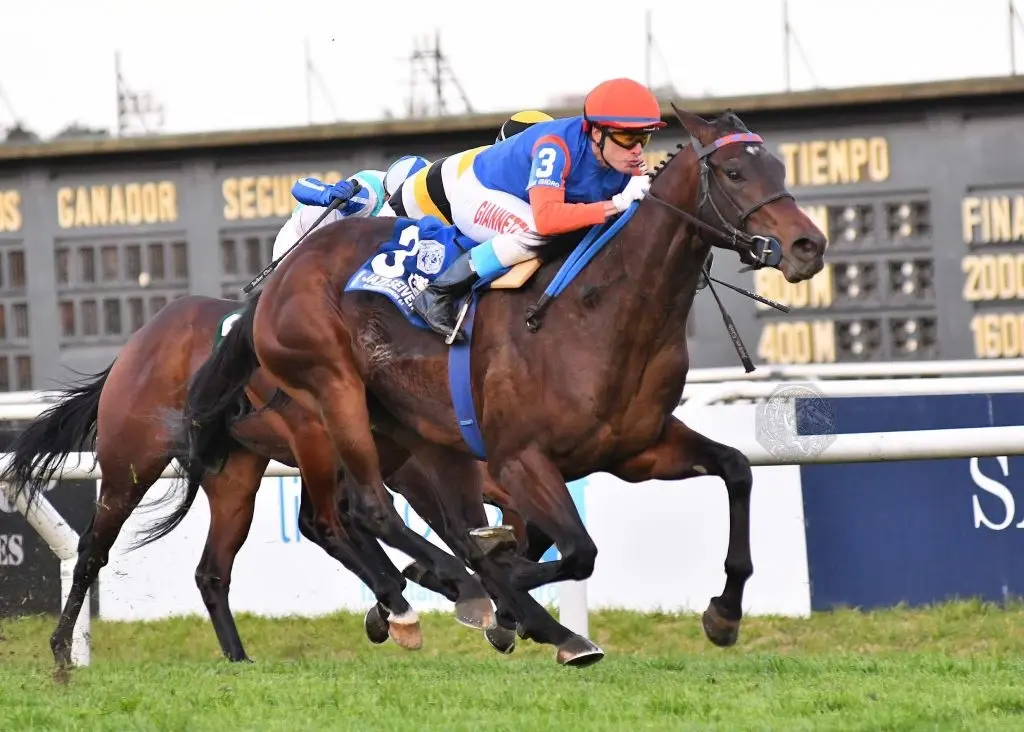 El G1 Jazz Seiver vuelve después de mucho tiempo en el Clásico Botafogo (G3), en San Isidro.