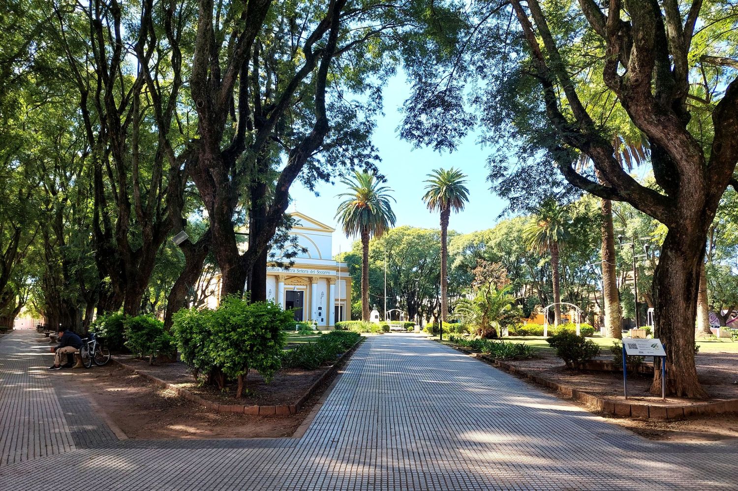 La plaza Constitución es un ícono de la identidad sampedrina.