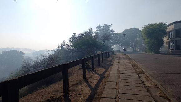 Conrado Estol: los daños que produce el humo y la contaminación del aire