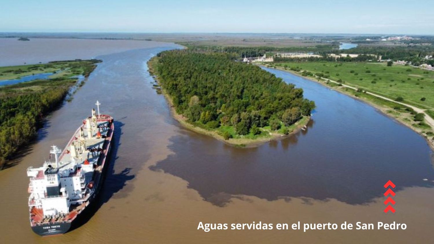 La imagen difundida por el Consejo Profesional de Químicos de la provincia de Buenos Aires.