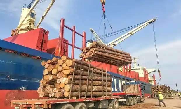 Argentina exportará por primera vez madera al mercado indio