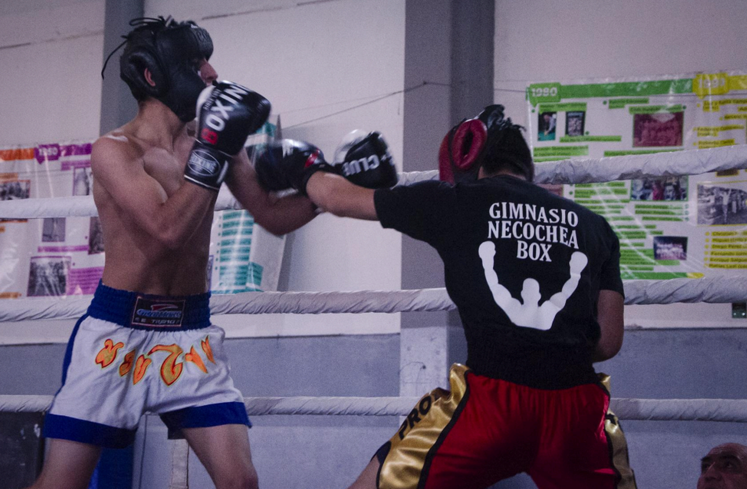 Boxeo amateur pleno. Este sábado en el Polideportivo Municipal