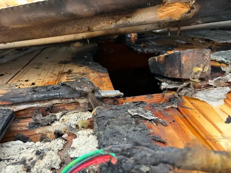incendio venado - 2
