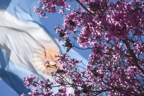Una ciudad santafesina impulsa un nuevo proyecto forestal