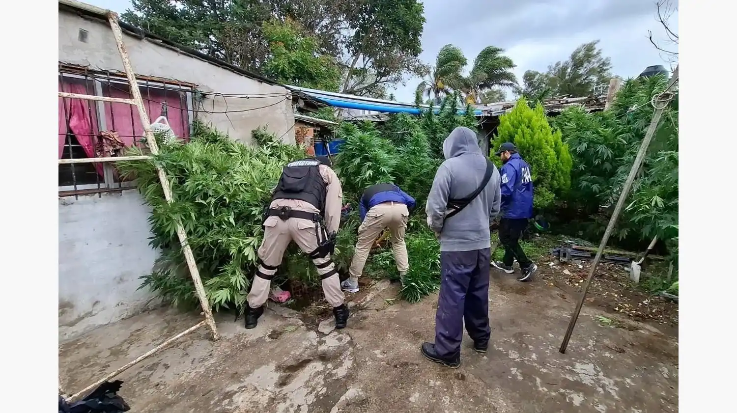 La operación llevaba por título "Baywatch" y se realizó en diversos puntos de la ciudad.