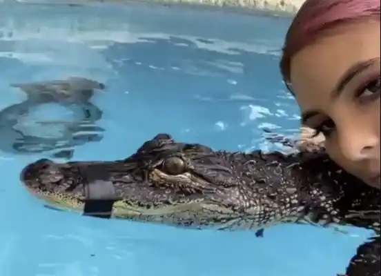 Captura de una parte del video por el que criticaron a Lele Pons