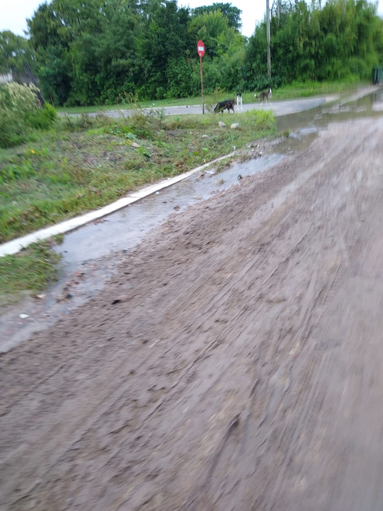 Reclamo por pérdida de agua en la vía pública