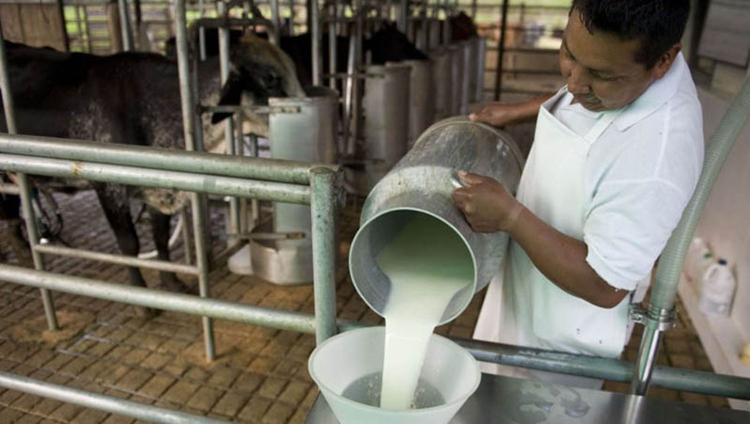 La industria de la leche de Entre Ríos también advierte sobre las consecuencias del aumento de las retenciones