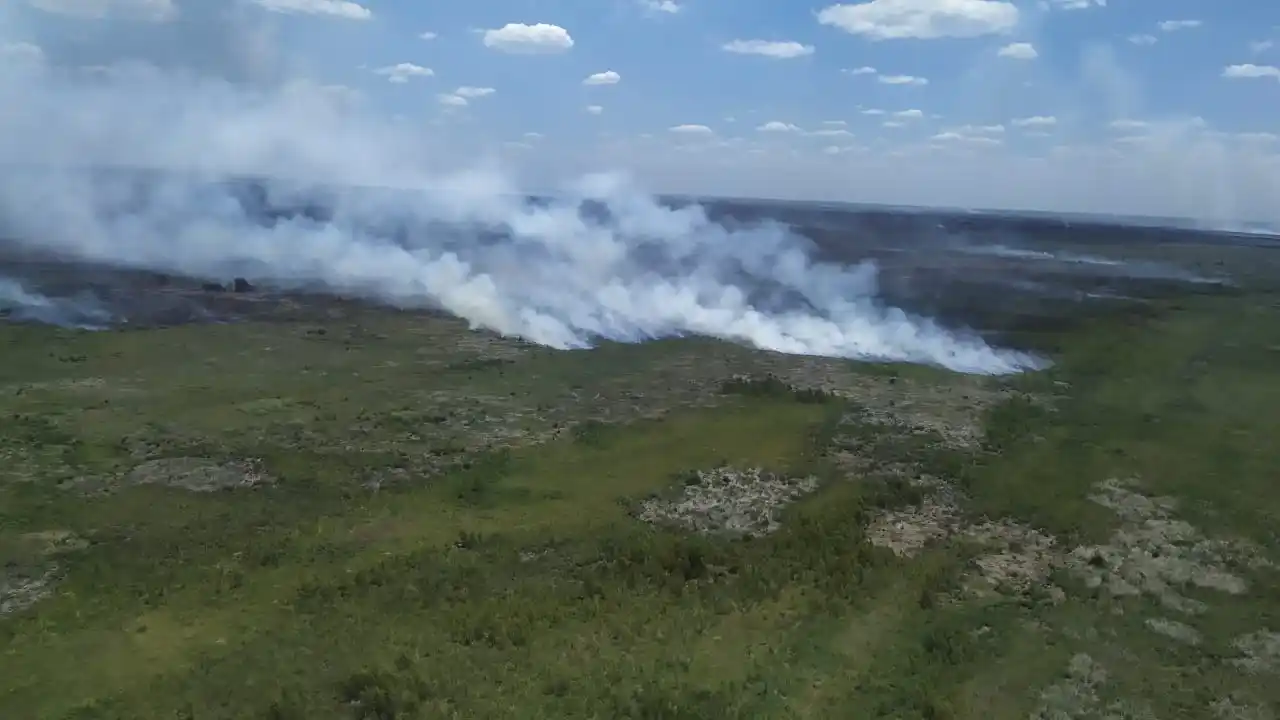 Presentan en San Pedro el libro “El corredor de biodiversidad del delta del Paraná”