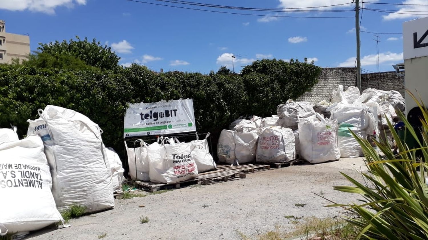 La ONG Punto Verde busca un espacio para continuar con el procesamiento del telgopor
