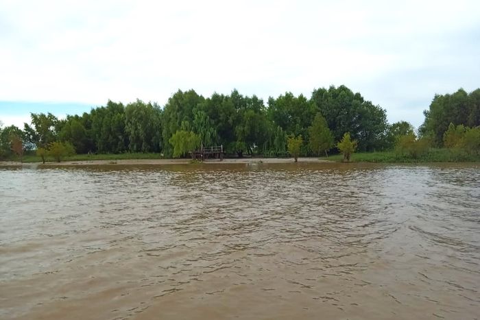 bajante río paraná nueva isla san pedro