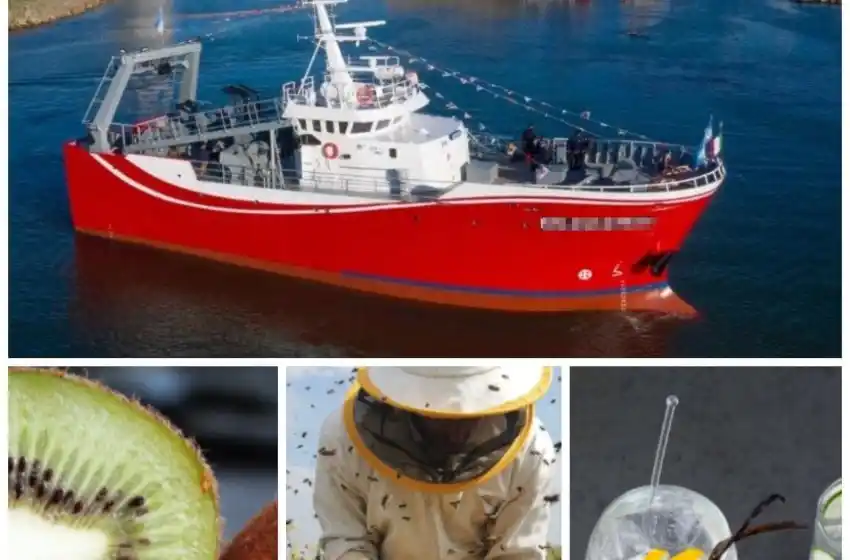 ¿Cuáles son las principales exportaciones de Mar del Plata?