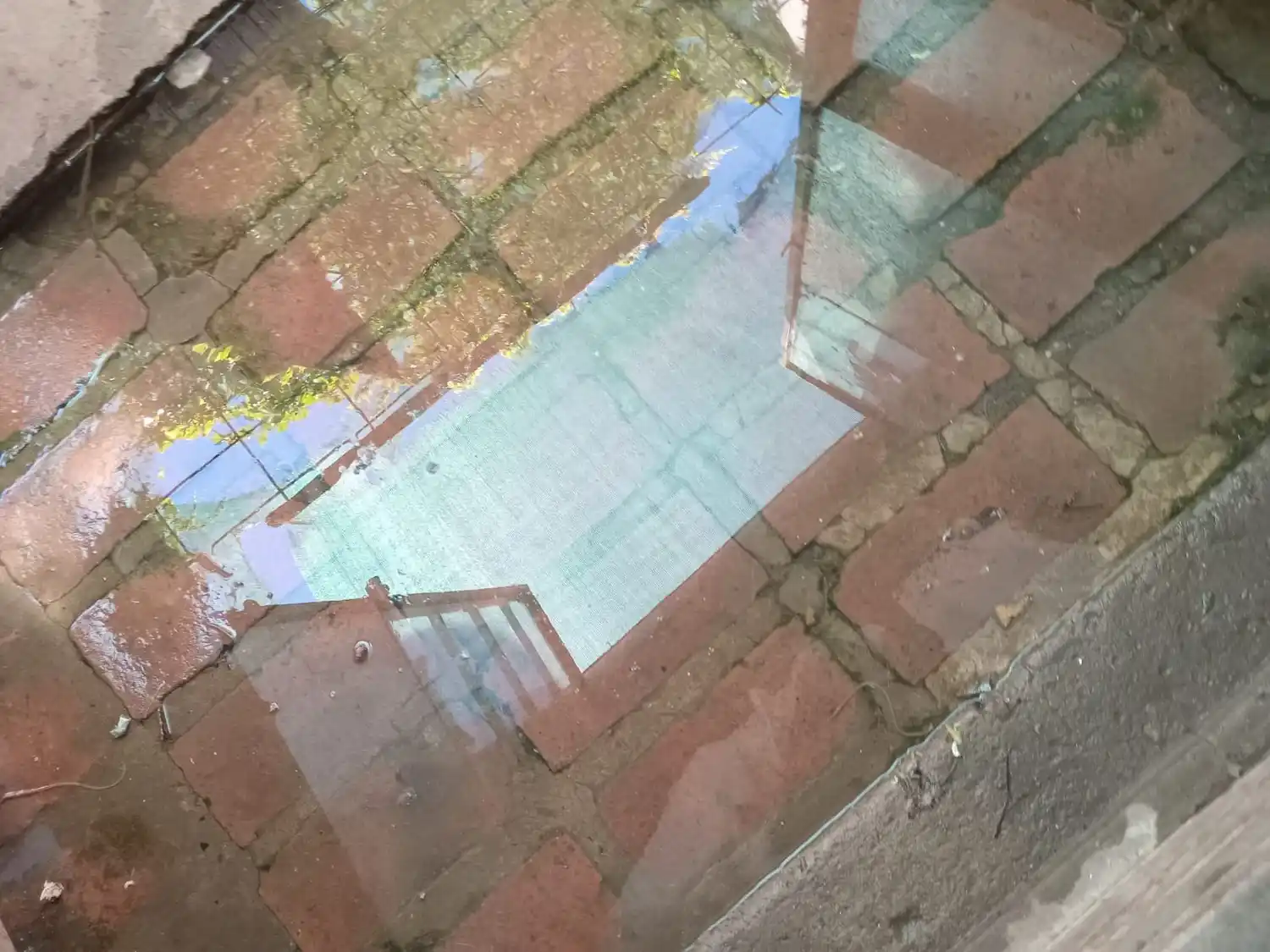 Barrio Arco Iris: quejas por cloacas rebalsadas