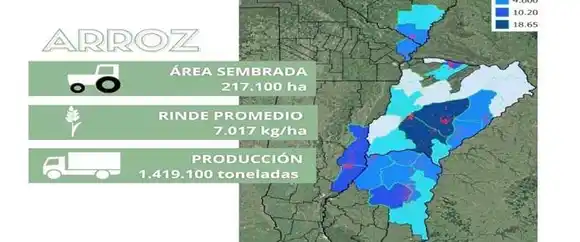 En Entre Ríos se obtuvieron  rindes récord de arroz