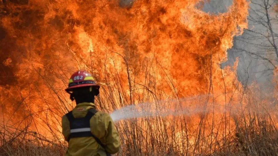 Declaran la emergencia ígnea en todo el país por un año