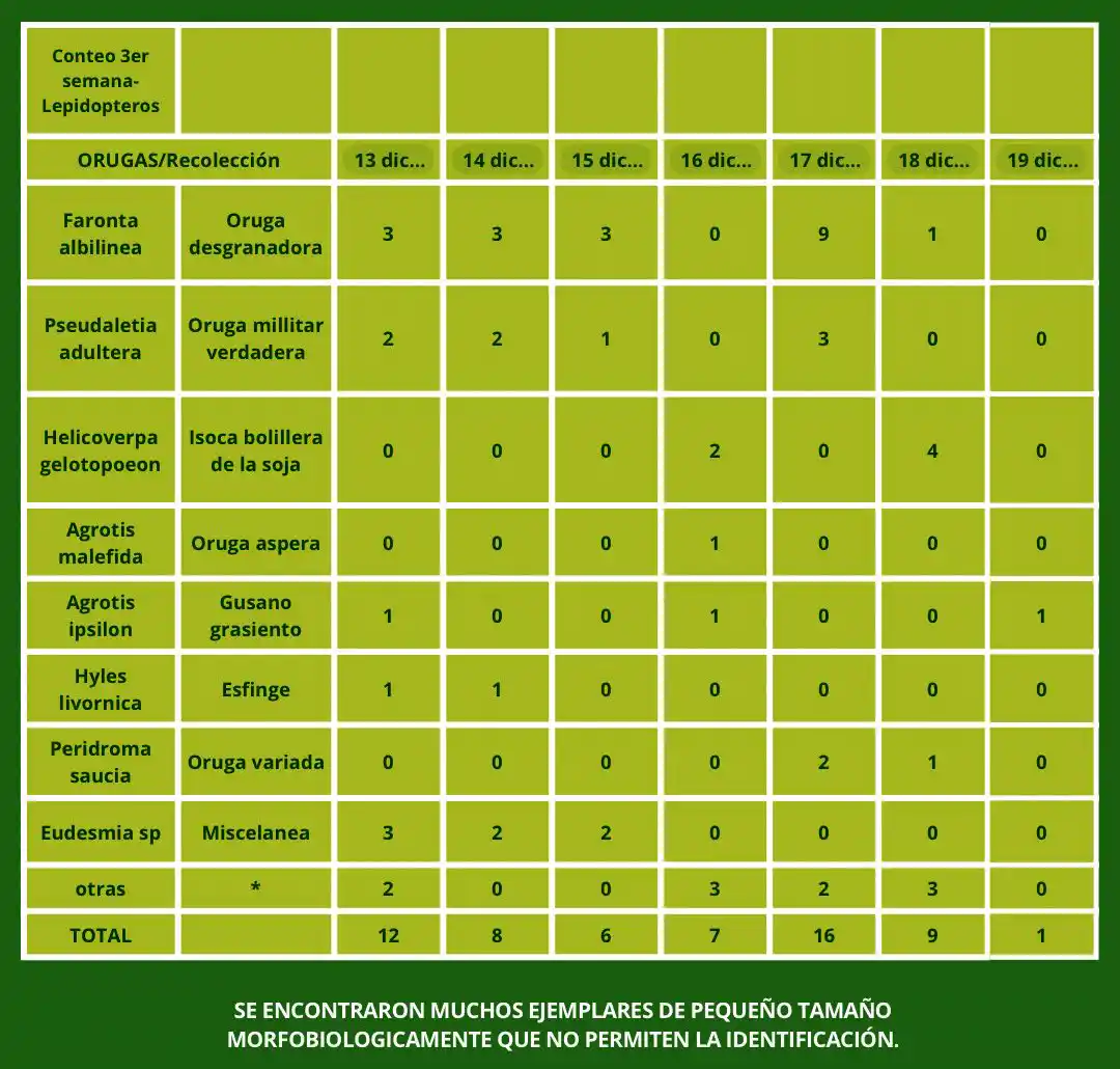 tabla lepi 3 semana