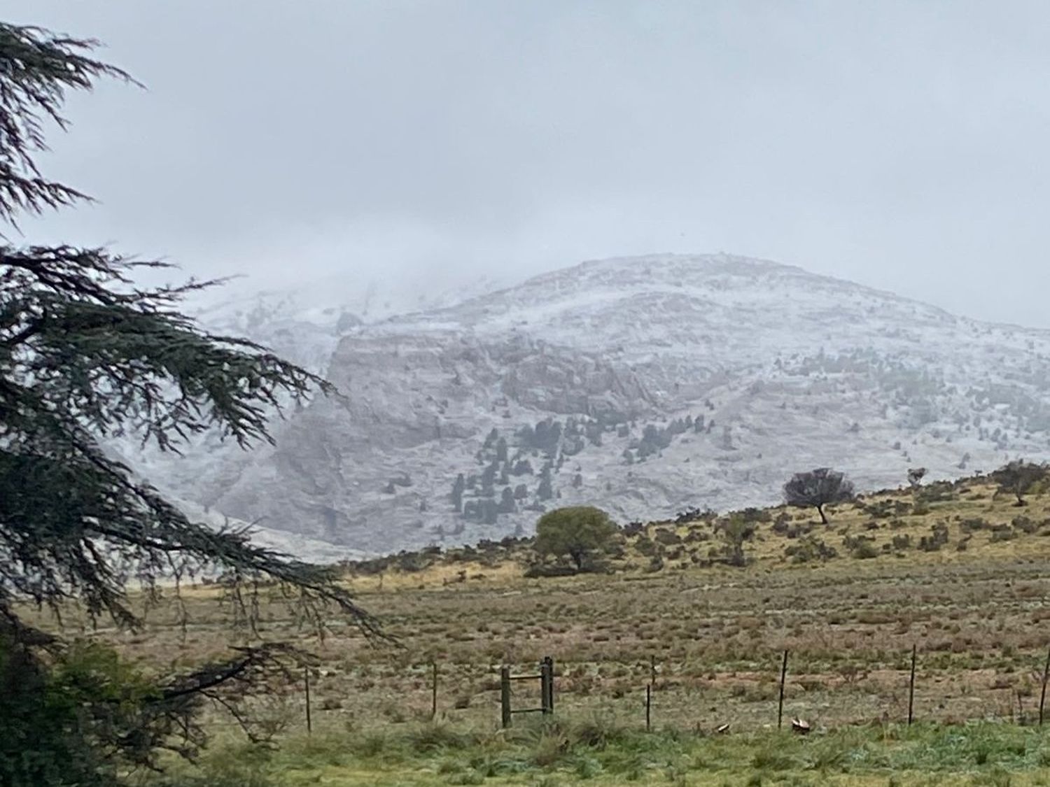 Pronóstico de Nevadas en Provincia de Buenos Aires: En qué ciudades podría caer nieve este 28 y 29 de junio