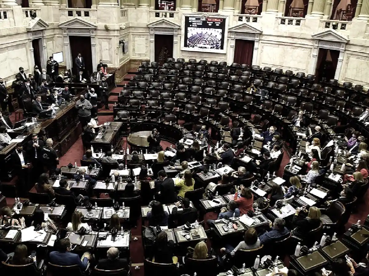 Comenzó la sesión  en la que se trata la ley de etiquetado frontal de alimentos