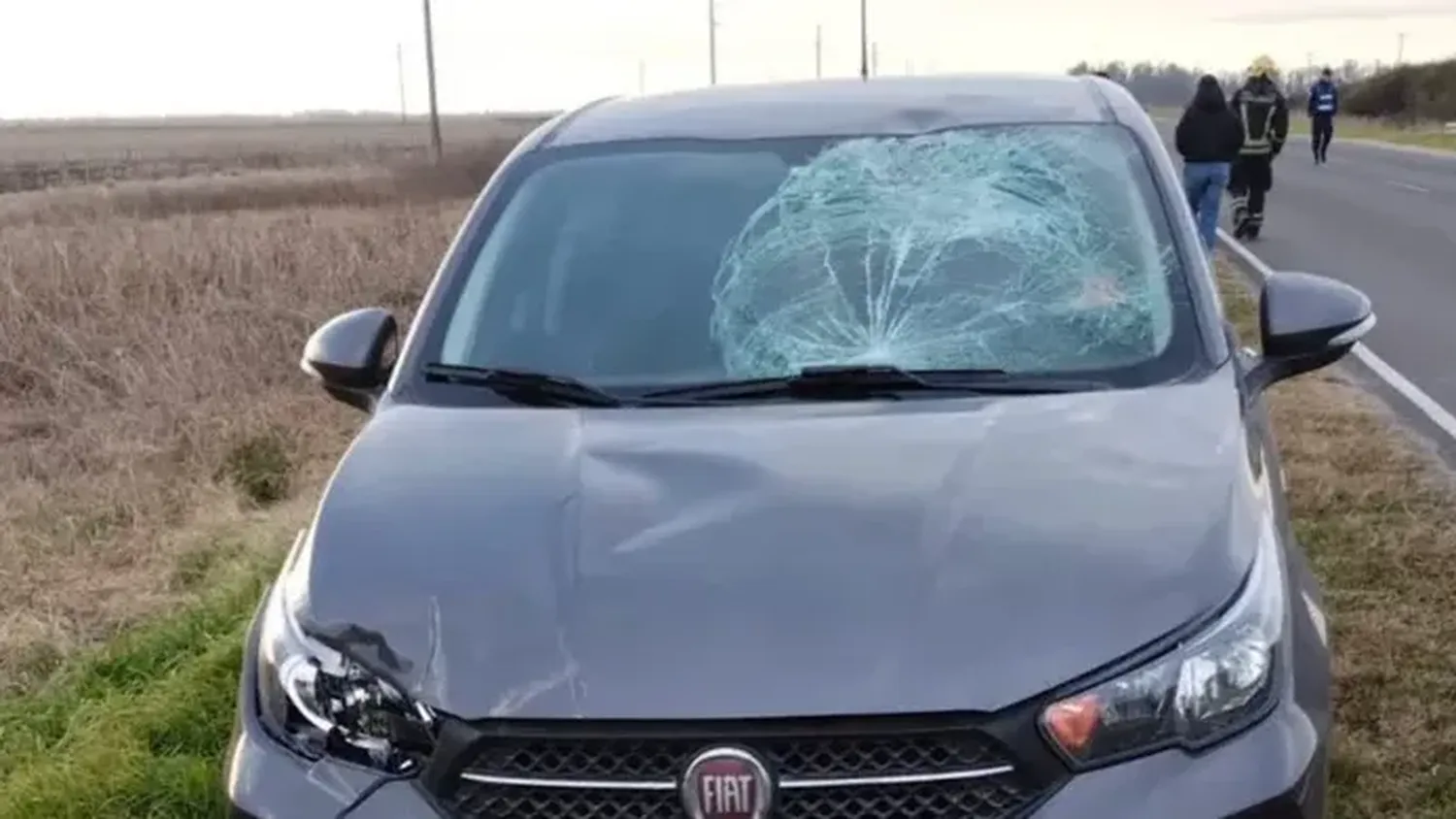 Un ciervo provocó un violento choque entre dos autos en la ruta