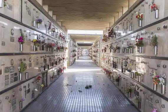 Dengue: el departamento de Feliciano prohíbió el uso de agua en floreros del cementerio