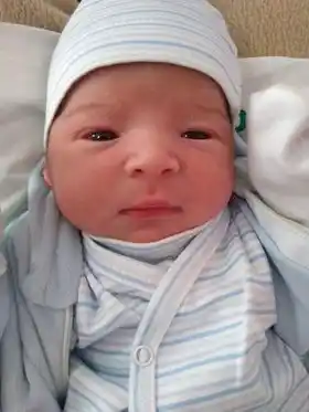 Bienvenido, Victorio Faccio