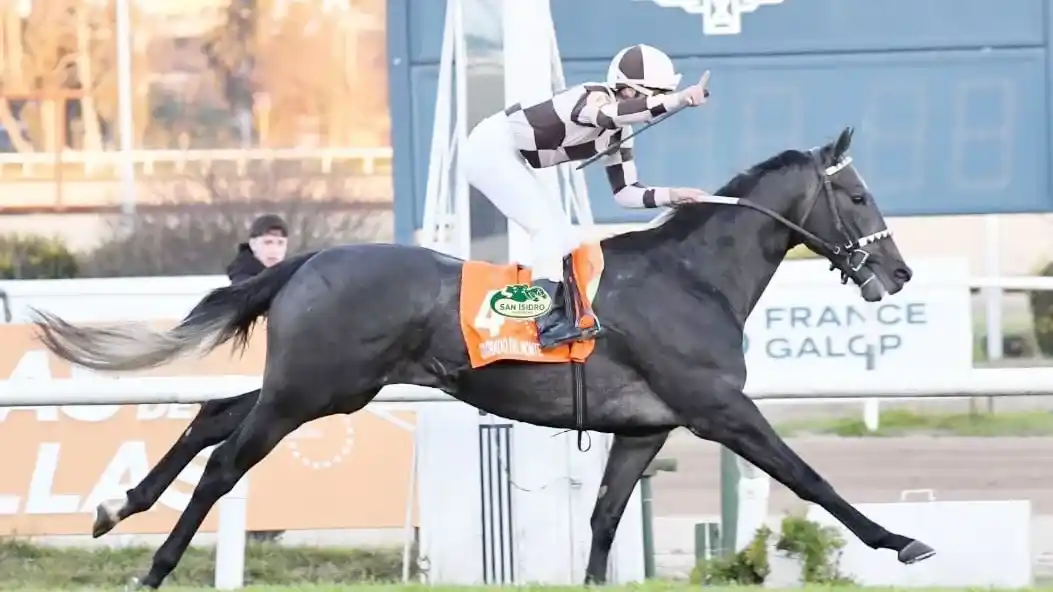 Colorado del Monte, líder de la generación, va por el Gran Premio Dos Mil Guineas (G1), en San Isidro.