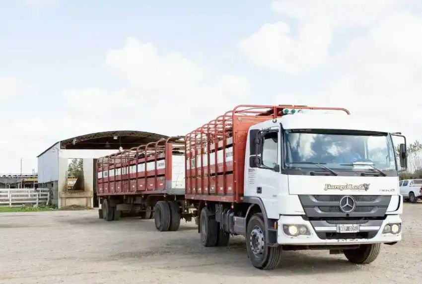 Emergencia agropecuaria: El SENASA colabora con los productores de las zonas afectadas