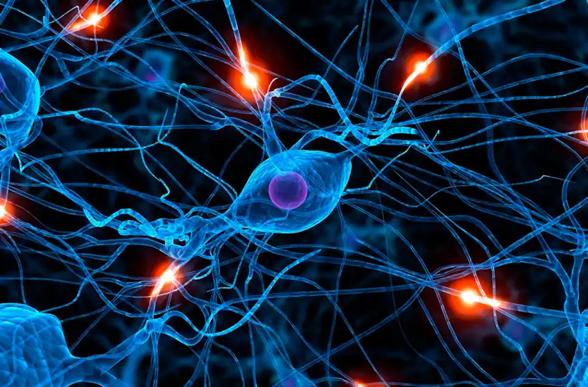 Premian a investigador rosarino por su labor en fertilización