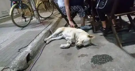 Viral: “El más malo del centro”
