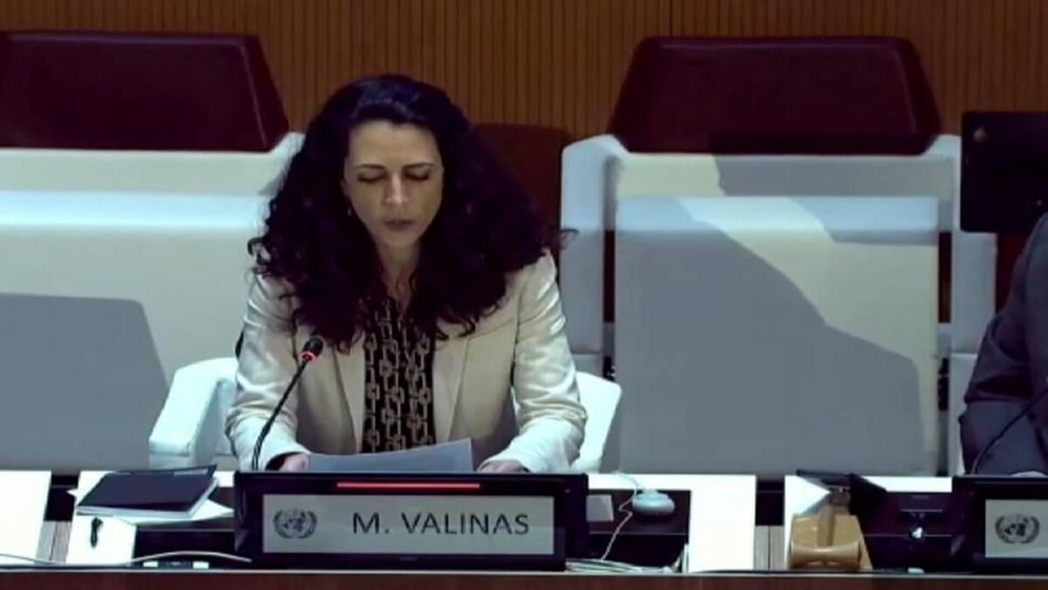 Venezuela corre el riesgo de «desintegración del Estado de derecho»: Misión de la ONU ante el Consejo de DD. HH. (+Videos)