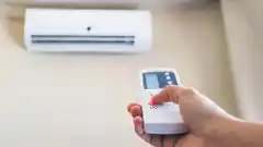 ¿Cuál es el horario de mayor consumo eléctrico en Tandil?