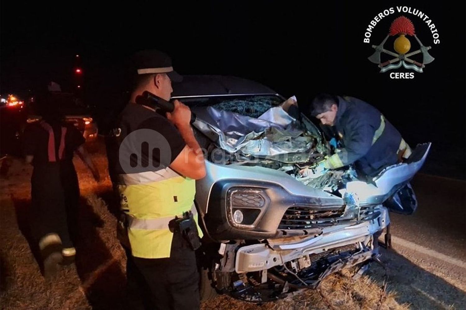 Cuatro personas heridas tras chocar de lleno con animales sueltos en Ruta Nacional 34