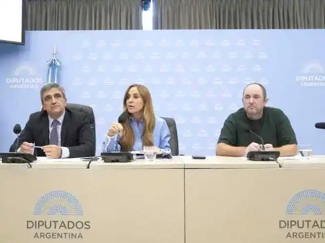 Especialistas alertaron a diputados sobre 
la situación del sistema de salud en el país