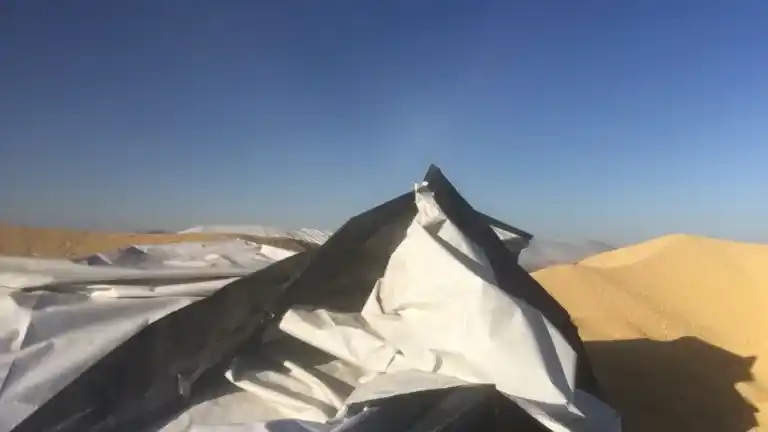 SAN LUIS | Concejal denuncia ola de robos y rotura de silobolsas en los campos de Justo Daract