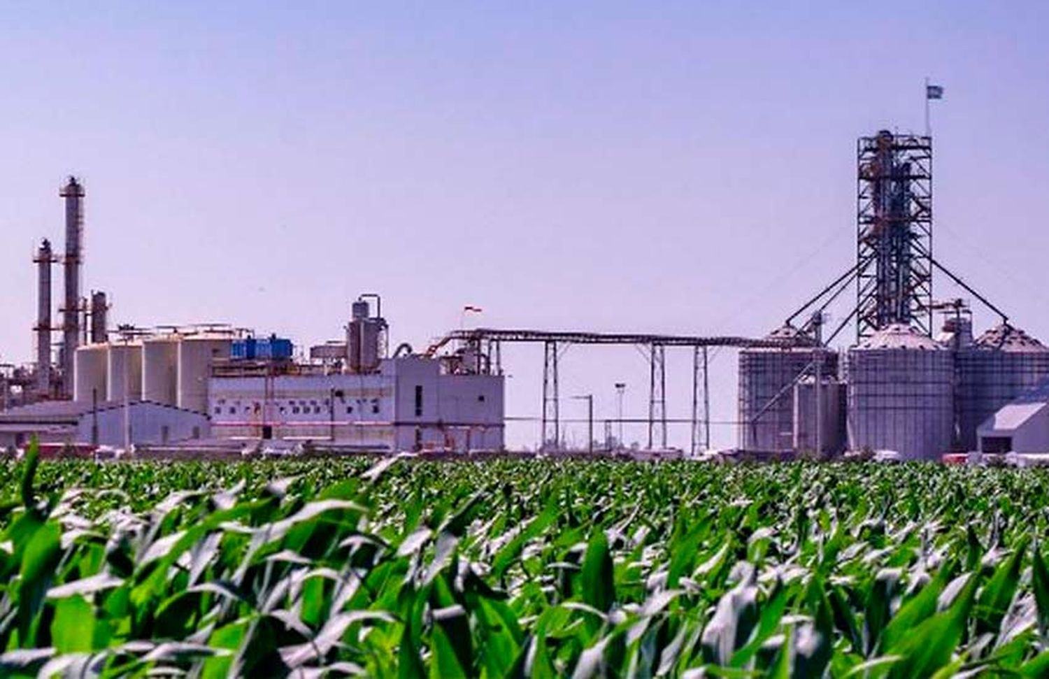 Extienden la vigencia del régimen de biocombustibles hasta que se discuta una nueva ley