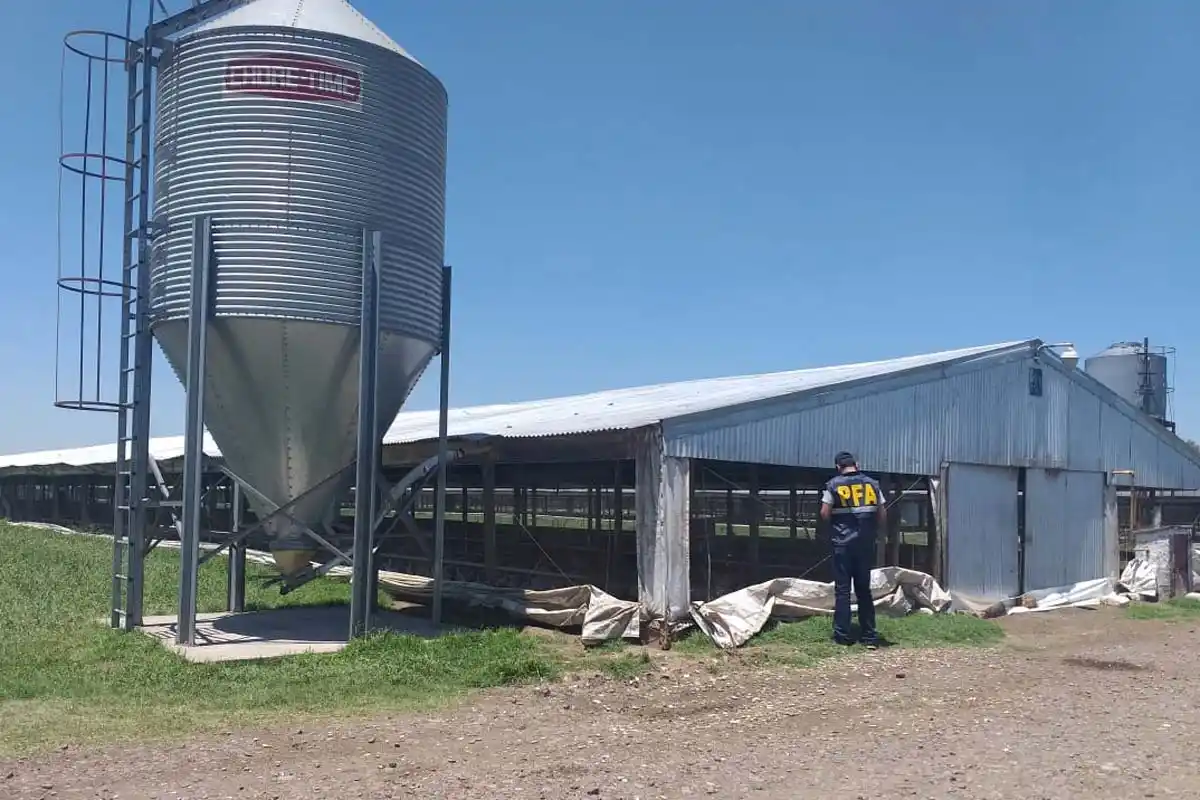Cañuelas: Policía Federal allanó una avícola y rescatan a obreros indocumentados