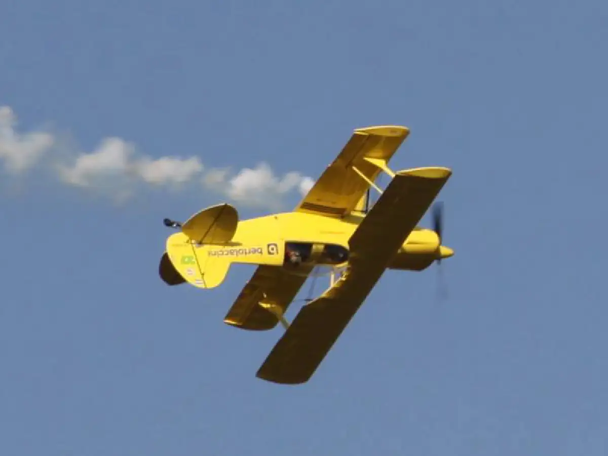 Se preparan para volar